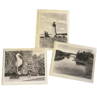 Cards by Robert Carey