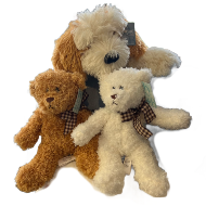 Teddy Bear