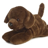 Small Dog OR Cat