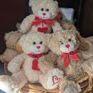 Stuffed Animal