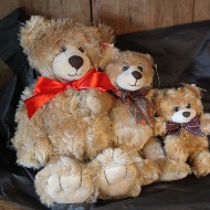 Stuffed Animal