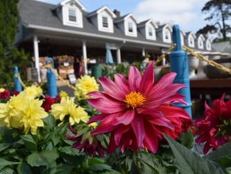 Store front of Rohsler's Allendale Nursery and Florist