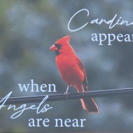 Photo Magnets -custom orders available