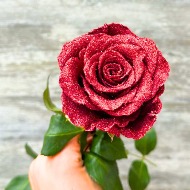 Show Stopper Rose