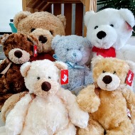 Lovable Teddy Bears