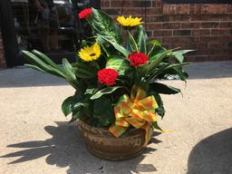 Add Fresh Flowers to Plants