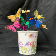 Dragonflies, Butterflies and Humingbirds