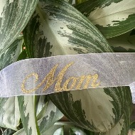 Script "Mom"