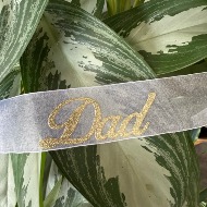 Script "Dad"