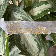 Script "Grandpa"