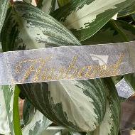 Script "Husband"