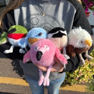 Mini Bird Stuffy