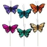 Butterflies