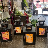 Small Lanterns- Lanterns will vary