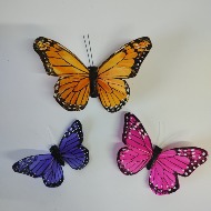 Butterflies