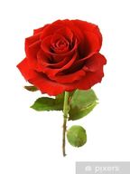 Add A Rose