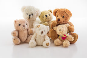 Stuffed Animal