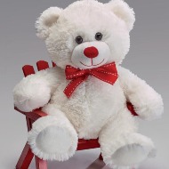 White Teddy Bear