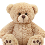 Teddy Bears