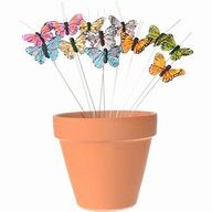 Add a Butterfly