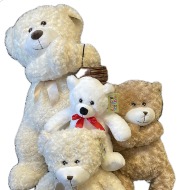 Teddy Bears