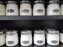 Candle