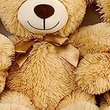 Stuffed Animal