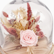 10" Pink Preserved Rose Botanical Cloche