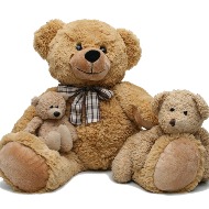 Stuffed Animal