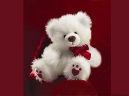 Plush Animal