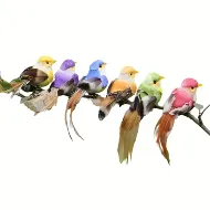 Birds