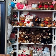 Plush Bears