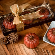 Fall Favorites