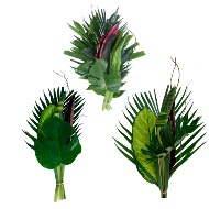 Tropical Foliage Assortment