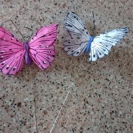 Butterfly Add ons