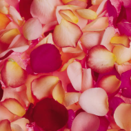 Bag of Rose Petals