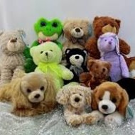 Stuffed Animals