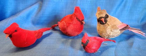 Cardinal