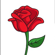 Rose