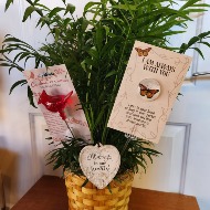 Sympathy Add-on (In plant or fresh arrangements)