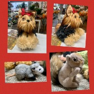 Stuffed Animal
