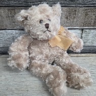 Snuggly Teddy bear