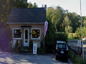 Storefront of DG Flowers