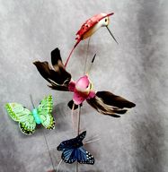 Hummingbird / Butterfly