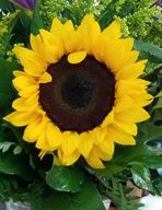 ADD A FLOWER
