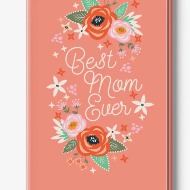 Best Mom EverGreeting Card W/ Chocolate Bar