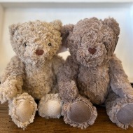 Stuffed Animals (Teddy Bears,Dogs)