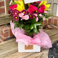 Arrive in Style Box & Tissue Paper
