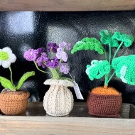 Crochet Plant