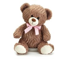Teddy  Bears